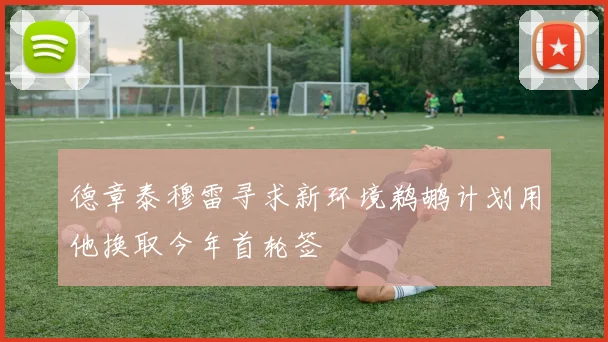 德章泰穆雷寻求新环境鹈鹕计划用他换取今年首轮签